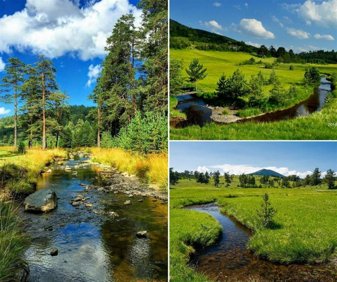 Centar! Lara Zlatibor 아파트 외부 사진